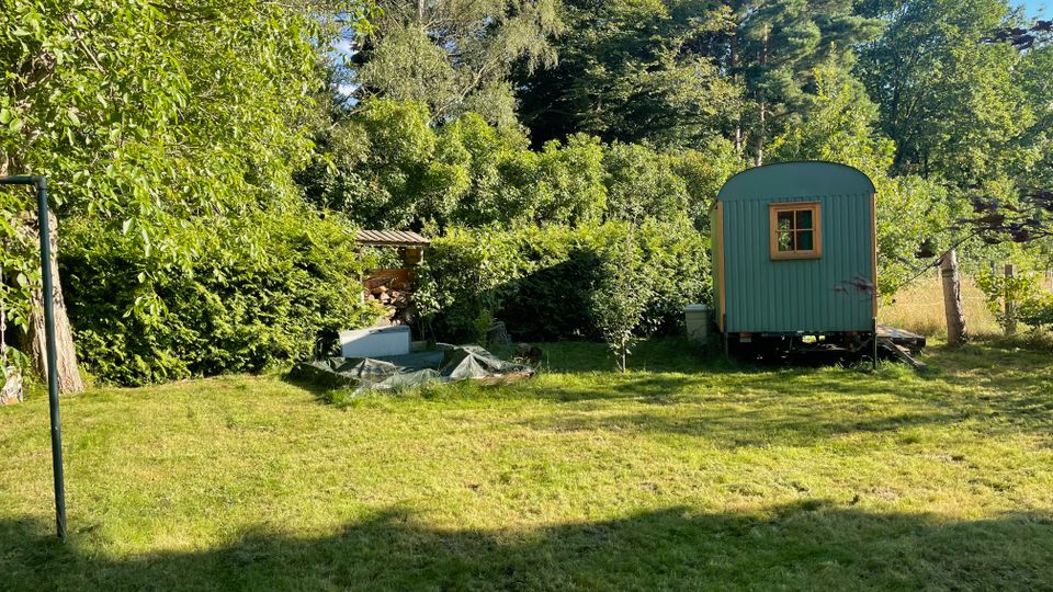 Grüne Wiese am Waldrand mit dichtem Busch- und Baumbestand im Hintergrund. Rechts steht ein kleiner, mintgrüner Bauwagen mit Holzfenster; daneben sind ein Holzunterstand und eine Abdeckplane auf dem Boden zu sehen.