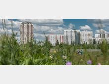 Hochhäuser in Plattenbauweise im Hintergrund, umgeben von grüner Vegetation und Bäumen; im Vordergrund eine Wiese mit mehreren Personen und einem Hund, teilweise durch hohe Gräser verdeckt. Der Himmel ist bewölkt mit blauem Hintergrund.