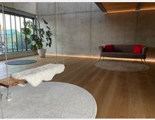 Minimalist loft-style living room with concrete walls, wide wooden floors, and large industrial windows overlooking a balcony. A rope-hung wooden swing with a white cushion sits over a round rug, with a potted monstera plant and a gray sofa with red pillows on the far wall.