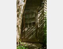 Eine alte, verwitterte Holztür mit Metallbeschlägen und eingeteilten Glasfenstern, umgeben von einer Holzwand. Die Szene ist teilweise von Sonnenlicht durch Bäume beleuchtet, mit Pflanzen und einem Baumstamm im Vordergrund.