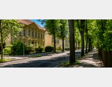Von hohen Bäumen gesäumte Wohnstraße mit breitem Gehweg und wenig Verkehr, daneben mehrstöckige, hell verputzte Altbauten mit Satteldach und großen Fenstern. Ein Zaun und dichtes Grün begleiten den Weg entlang der Straße.