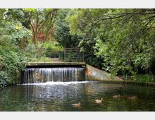 Ein kleiner Wasserfall in einem Park fließt über eine niedrige Betonkante in einen Teich, umgeben von üppigem Grün und Bäumen; im Wasser schwimmen mehrere Enten. Im Hintergrund befindet sich eine Brücke mit Metallgeländer, die über den Wasserfall führt.