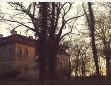 Historisches Gebäude mit rechteckigem Grundriss und klassischer Fassade, umgeben von kahlen, mit Efeu bewachsenen Bäumen im Licht der Abenddämmerung.