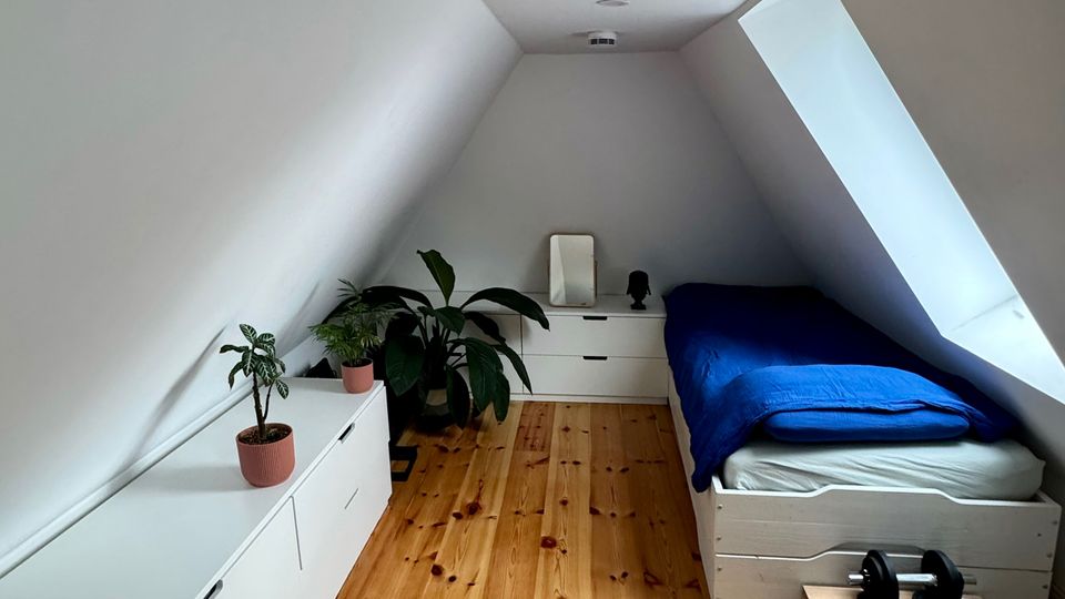 Schmales Dachzimmer mit schrägen weißen Wänden, Holzfußboden und einem Einzelbett mit blauem Bettbezug neben einem großen Dachfenster. Entlang der linken Seite stehen weiße Kommoden mit Topfpflanzen, am Ende des Raums eine weitere niedrige Kommode.
