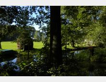 Waldlandschaft mit einem kleinen Bach, der von üppigem Grün und Bäumen umgeben ist. Im Hintergrund ist eine offene, sonnige Wiese und einzelne Birken sichtbar.