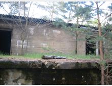 Verlassene Betongebäude mit offenen Eingängen, umgeben von Bäumen und überwuchertem Gras; im Vordergrund eine mit Moos bedeckte Steinmauer.