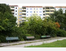 Mehrstöckige Wohngebäude mit gelb-weißen Fassaden im Hintergrund, umgeben von dichtem, grünem Laub und vereinzelten Bäumen; im Vordergrund eine gepflasterte Gehwegfläche mit mehreren Holz-Sitzbänken, teils mit Graffiti besprüht.