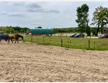 Ein sandiger Reitplatz mit zwei Pferden im Vordergrund, getrennt durch einen Zaun von einer grasbewachsenen Weide mit einer grünen Unterstandshalle und mehreren Kühen im Hintergrund. Auf der rechten Seite stehen geparkte Autos, umgeben von Bäumen und ländlicher Umgebung.