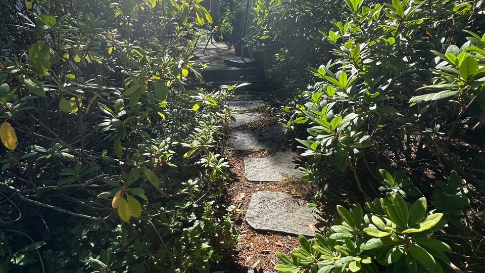 Schmaler Gartenpfad aus unregelmäßigen Steinplatten, der durch dichtes, immergrünes Strauchwerk und hohe Bäume führt. Im Hintergrund stehen ein geschlossener Sonnenschirm und eine kleine Sitzfläche im Sonnenlicht.