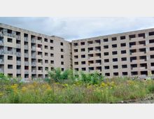 Zwei verlassene, graue Betongebäude mit regelmäßigen Reihen von quadratischen Fensteröffnungen, stark beschädigt und mit Graffiti bedeckt. Im Vordergrund bewachsenes Brachland mit gelben Wildblumen und Sträuchern.