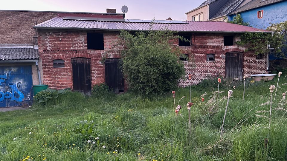 Verwilderter Hof mit hohem Gras vor einem niedrigen Backstein-Nebengebäude mit Wellblechdach, mehreren dunklen Holz­türen und kleinen Fensteröffnungen. Links steht ein blaues Garagentor mit Graffiti, rechts sind angrenzende Wohnhäuser und eine freistehende Badewanne im Außenbereich zu sehen.