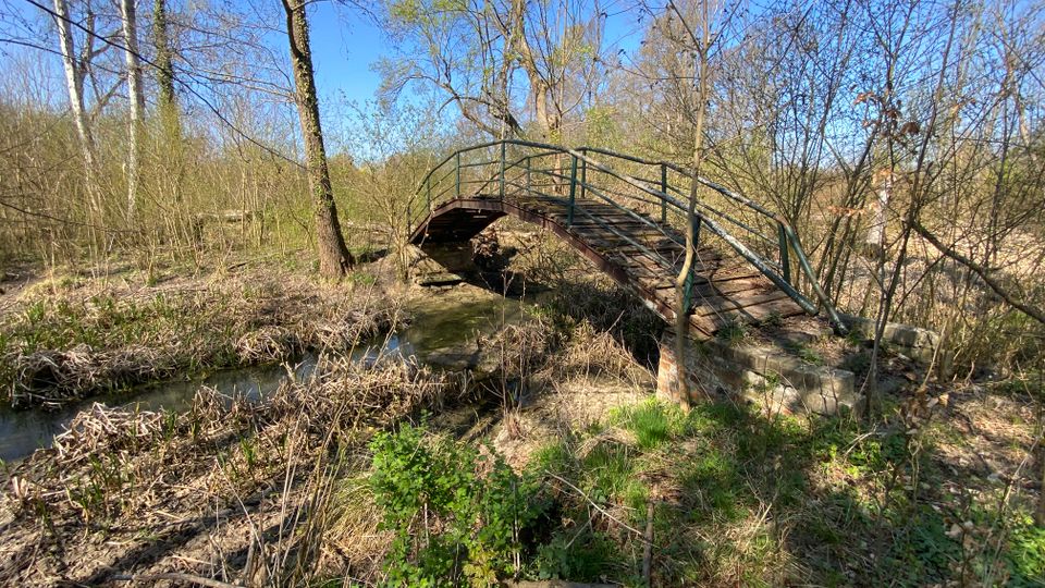 Kleine, bogenförmige Fußgängerbrücke aus Holz mit grünem Metallgeländer über einem schmalen Bach. Die Brücke liegt in einer naturnahen Auenlandschaft mit trockenem Schilf, niedrigen Sträuchern und kahlen Bäumen unter blauem Himmel.