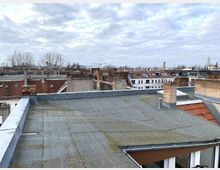 Blick über die Dächer einer Stadt mit überwiegend flachen und geneigten Ziegeldächern, einzelnen Schornsteinen und begrünten Flachdachabschnitten. Im Hintergrund sind kahle Bäume, Baukräne und mehrstöckige Gebäude unter einem bewölkten Himmel erkennbar.