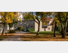 Herbstliche Szene in einem Wohngebiet mit Laubbäumen, deren gelbe Blätter den Boden und einen schmalen Gehweg bedecken, der zu einem zweigeschossigen, beige verputzten Haus führt. Im Vordergrund befinden sich Bäume, eine Laterne und eine Wiese.