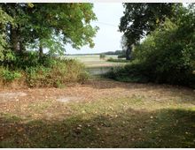 Weitläufige ländliche Szene mit einer offenen Wiese im Vordergrund, gesäumt von Bäumen und Büschen, sowie einem Metalltor, das zu einer Aussicht auf Felder in der Ferne führt. Im Hintergrund sind weitere Bäume und ein dunkles Gebäude teilweise sichtbar.