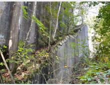 Verlassene Betonstruktur mit teilweise überwucherten Treppen, umgeben von dichtem Laub und wildem Bewuchs. Im Hintergrund sind Betonwände mit sichtbaren Verwitterungsspuren zu erkennen.