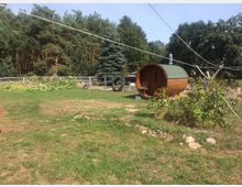 Weitläufiger Garten mit einer Holzhütte in Fassform im Vordergrund, umgeben von Wiese, Bäumen und einem Holzzaun. Im Hintergrund sind dichte Nadel- und Laubbäume zu sehen.