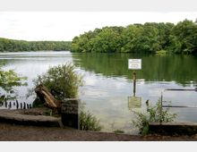 Ein ruhiger See umgeben von dichtem Wald, mit einer Uferzone aus Erde, Pflanzen und Holz. Ein Schild im Wasser warnt vor Gefahren, und am rechten Bildrand ist ein Geländer sichtbar.
