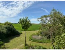 Weite ländliche Landschaft mit grünem Feld und vereinzelten Bäumen im Vordergrund, umgeben von Sträuchern und Wiesen. Im Hintergrund erstrecken sich Hügel unter einem blauen Himmel mit leichten Wolkenformationen.