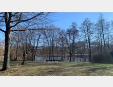 Ein Park mit kahlen Bäumen im Vordergrund, zwei blaue Bänke und eine Statue. Im Hintergrund ist ein kleiner See sichtbar, umgeben von weiteren Bäumen, bei klarem Himmel.