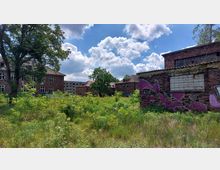 Eine verlassene Industrie- oder Wohnanlage mit Backsteingebäuden, teils von Graffiti bedeckt, umgeben von überwuchertem Grün und Bäumen. Im Hintergrund sind weitere beschädigte Gebäude und ein bewölkter Himmel zu sehen.
