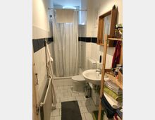 Kleines Badezimmer mit weiß gefliesten Wänden und Boden. Zu sehen sind eine Toilette, ein Waschbecken mit Spiegel und Ablage, sowie eine abgetrennte Dusche mit Vorhang. Ein Regal mit Handtüchern und Pflegeprodukten steht rechts.