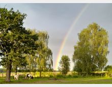 Eine Wiese mit grünen Bäumen im Vordergrund, auf der zwei Pferde grasen, und ein Regenbogen, der sich über den Himmel erstreckt. Helle Felder und ein bewölkter Himmel bilden den Hintergrund.