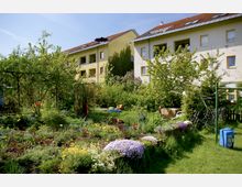 Mehrfamilienhäuser mit gelbem und weißem Putz stehen hinter einem üppig bepflanzten Garten mit Blumenbeeten, Sträuchern und Bäumen. Im Vordergrund sind Rasenflächen, Gartenmöbel und ein Wäschegestell zu sehen.