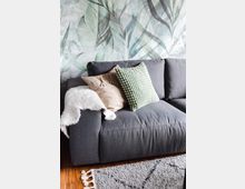 Graues Sofa mit grünen und beigen Kissen sowie einer weißen Felldecke, vor einer Wand mit einem Pflanzenmuster in Grüntönen; eine helle Teppichkante mit Fransen liegt auf dem Holzboden.