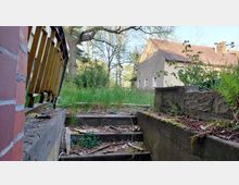 Eine verfallene Betontreppe mit überwuchernder Vegetation führt zu einem verlassenen Grundstück. Im Hintergrund ist ein einfaches Wohnhaus mit hellbrauner Fassade und Satteldach zu sehen, umgeben von Bäumen und wilder Natur.
