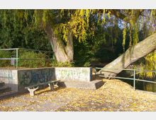 Eine kleine Sitz- und Ruhefläche mit einer Betonbank und einer niedrigen Mauer, die mit Graffiti bedeckt ist, umgeben von herbstlich gefärbtem Laub. Eine große Weide ragt schräg über die Szene, und im Hintergrund sind dichte Büsche und ein Gewässer zu sehen.