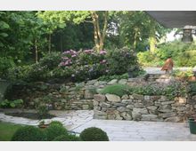 Gepflegter Gartenbereich mit Natursteinmauern, Pflasterwegen, blühenden Rhododendren und weiteren Pflanzen. Im Hintergrund ein Hund auf einer kleinen Treppe, umgeben von Bäumen und üppigem Grün.
