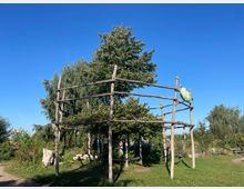 Holzgerüst in einem Garten mit grüner Vegetation, umgeben von Bäumen und Wiesen unter klarem blauem Himmel. Im Hintergrund sind schattige Sitzbänke und wild wachsende Pflanzen zu sehen.