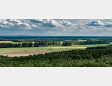 Weite Landschaft mit Feldern, Wäldern und einer Baumreihe im mittleren Bildbereich, im Vordergrund dichter Nadelwald und im Hintergrund leicht bewölkter Himmel über einer flachen Ebene.
