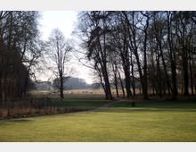 Weite Wiesenlandschaft mit grasenden Kühen im Hintergrund, umgeben von kahlen Bäumen am Rand eines lichten Waldes. Im Vordergrund ein gepflegter Rasen mit einem schmalen Weg, der durch die Szene führt.