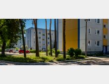 Wohnanlage mit mehrstöckigen, flachgedeckten Wohnblocks in Grau und Gelb, umgeben von einer grünen Rasenfläche mit hohen Bäumen. Im Vordergrund verläuft ein Gehweg; daneben stehen Straßenlampen, geparkte Autos und Fahrräder am Gebäudeeingang.