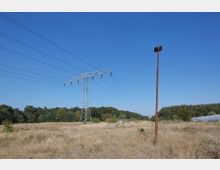 Weiter Landschaftsbereich mit trockenem Gras, einem großen Hochspannungsmast aus Metall und Stromleitungen, die sich in den Himmel erstrecken. Im Hintergrund sind Bäume und ein Gewächshaus zu sehen, daneben ein rostiger, schlanker Metallpfahl.