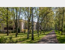 Wohngebäude mit hellbeigefarbenen Fassaden hinter einer Allee von Birkenbäumen. Rechts verläuft ein schmaler, gepflasterter Weg, der durch eine grüne Parklandschaft führt.