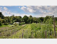 Gemüsegarten mit mehreren bepflanzten Beeten, die von einem Holzzaun umgeben sind. Im Hintergrund befinden sich ein Gewächshaus, Bäume und eine grüne Landschaft unter einem wolkigen Himmel.