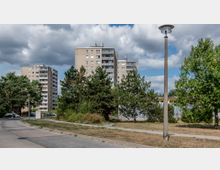 Mehrere graue Wohnhochhäuser in Plattenbauweise stehen hinter einer mit Bäumen und Sträuchern bewachsenen Grünfläche. Im Vordergrund sind ein Bürgersteig, eine Straßenlaterne und ein geteilter Gehweg erkennbar, unter einem bewölkten Himmel.