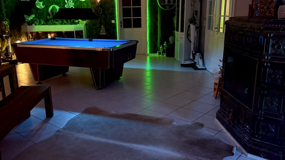 Wohnraum mit Billardtisch auf hellem Fliesenboden, vor einer dunkelgrünen Pflanzenwand mit dekorativen Motiven und grüner LED-Beleuchtung um eine Tür. Rechts stehen ein großer dunkler Kachelofen, weiße Schrankmöbel und Glastüren; auf dem Boden liegt ein helles Fell.
