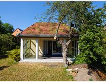 Einstöckiges Gebäude mit verglasten Wänden und einem begrünten Dach, umgeben von einem Garten mit Rasen, Bäumen und Sträuchern. Im Vordergrund steht ein Beschnittener Baum, daneben befindet sich ein Hügel mit Erde.