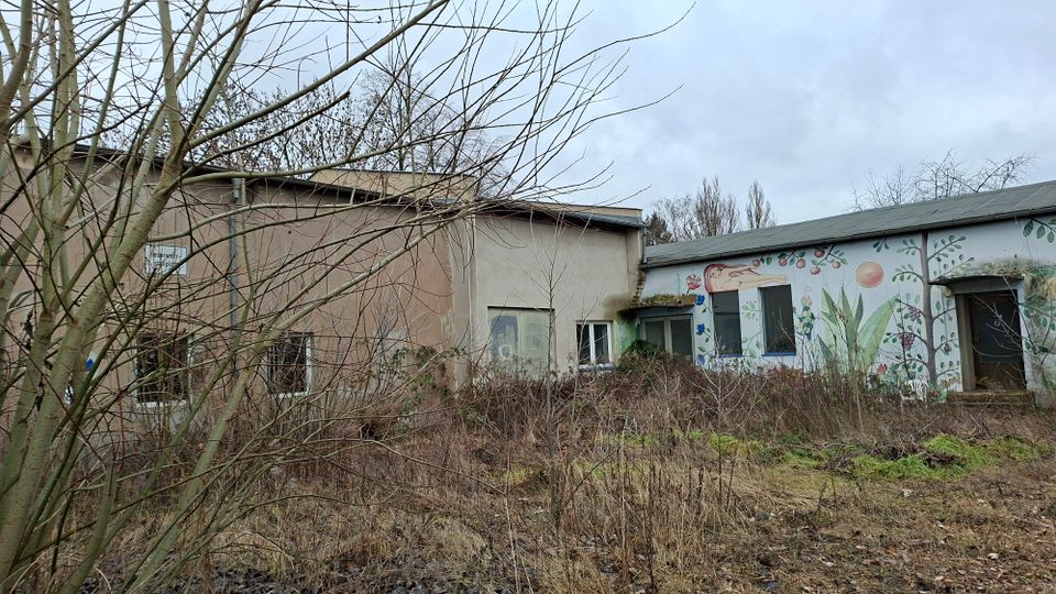 Verwildertes Grundstück mit trockenem Gras und kahlen Sträuchern vor einem flachen, teils verfallenen Gebäudekomplex. An der Fassade sind kleine Fenster und eine Wandbemalung mit Pflanzenmotiven zu sehen, davor ragen kahle Baumäste ins Bild.