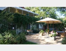 Ein Garten mit einer Terrasse, umgeben von üppigem Grün und Kletterpflanzen, die die Fassade eines Gebäudes bedecken. Auf der Terrasse stehen runde Holztische, Gartenstühle und ein großer Sonnenschirm, umgeben von Pflanzkübeln mit Hortensien.