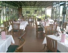 Innenansicht eines Restaurants mit großen Glaswänden, die einen Blick auf die umgebende grüne Landschaft bieten. Der Raum ist mit Holzmöbeln ausgestattet, darunter Tische mit weißen Tischdecken, dekoriert mit rosa Servietten und Gläsern.