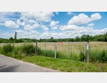 Wiese mit hohem Gras und umliegenden Bäumen, im Vordergrund ein Metallzaun mit einem verschlossenen Tor. Der Himmel ist blau mit vereinzelten, weißen Wolken.