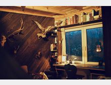 Gemütlicher Dachraum mit schräger Holzvertäfelung, dekoriert mit Geweihen und einem ausgestopften Greifvogel an der Wand. Neben einem großen Fenster mit Blick auf Bäume stehen ein Schreibtisch mit Lampe und kleinen Lautsprechern sowie Regale mit Büchern und Ordnern.