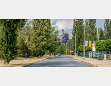 Straße mit Kopfsteinpflaster, gesäumt von hohen Bäumen und Fußwegen, im Hintergrund ein Industriegebäude mit Industriekonstruktionen. Rechts ein Zaun, mehrere Fahnen und ein Parkplatz, links ein Radfahrer auf dem Gehweg.