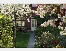 Vorgarten eines Wohnhauses mit blühenden Obstbäumen und bunten Blumen, ein schmaler Weg führt zu einer weißen Eingangstür eines rot verklinkerten Gebäudes.