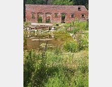 Eine alte Backsteinmauer mit mehreren rechteckigen und gewölbten Fensteröffnungen steht vor einem Teich mit Seerosen, umgeben von dichter Vegetation und Gräsern. Im Vordergrund ist eine hölzerne Bank auf einem kleinen Steinpodest zu sehen.